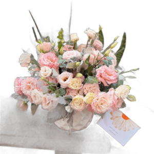 Ternura Rosa