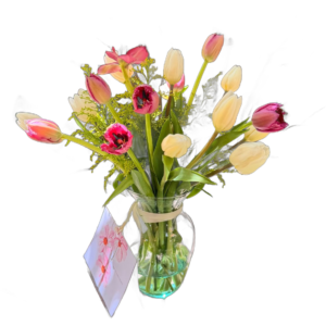 Primavera de Tulipanes