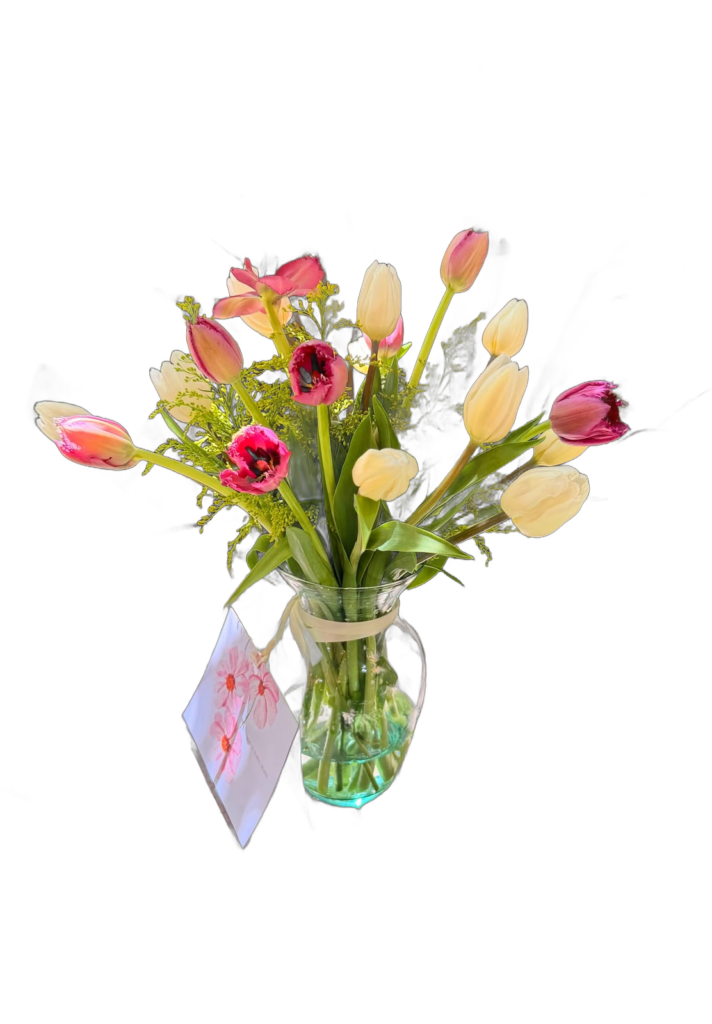 Primavera de Tulipanes