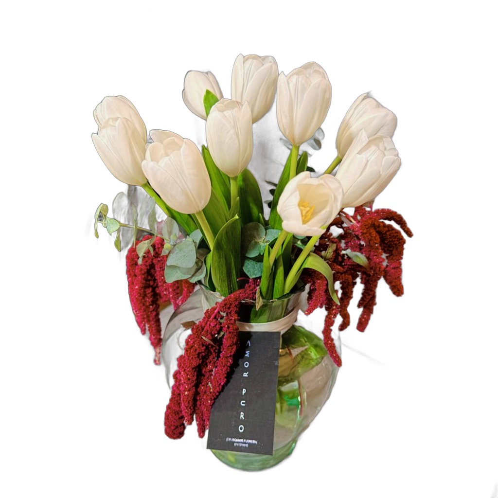 Tulipanes Blancos & Amaranto
