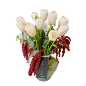 Tulipanes Blancos & Amaranto