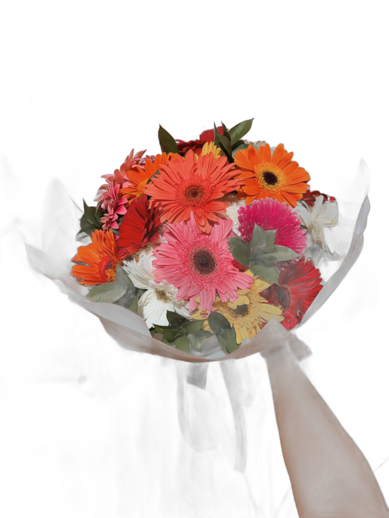 Atardecer de Gerberas