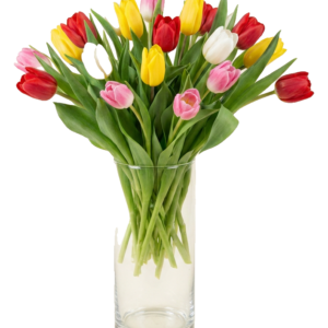 Arcoíris de Tulipanes
