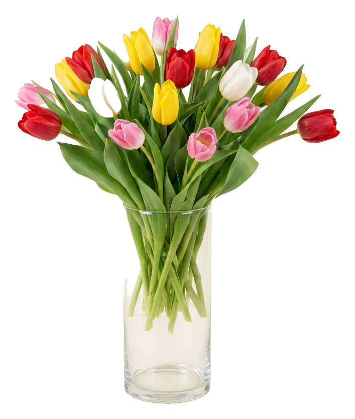 Arcoíris de Tulipanes